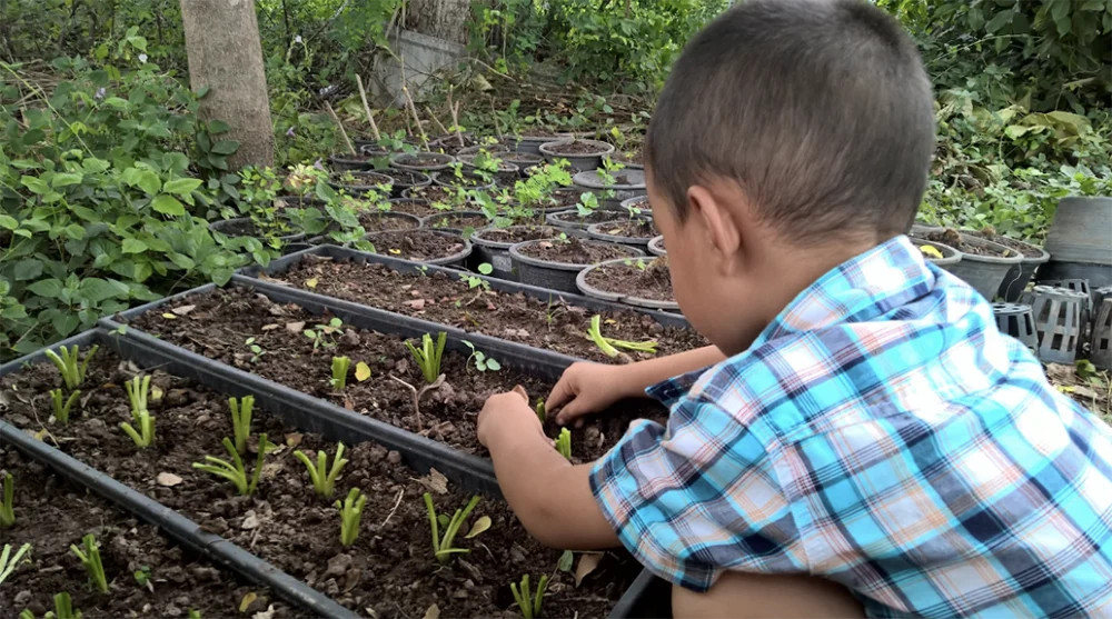 Kid planting seeds