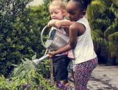 
  5 Steps to Planning a Successful School Garden   image