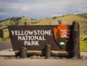 Virtual Field Trip image